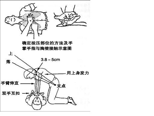 電腦心肺復(fù)蘇模擬人,中小學(xué)安全教育訓(xùn)練模擬人