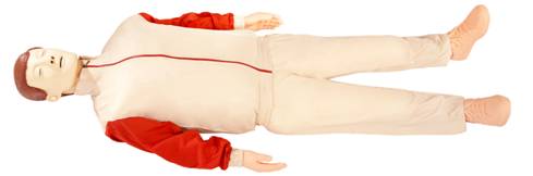 電腦心肺復(fù)蘇模擬人,中小學(xué)安全教育訓(xùn)練模擬人