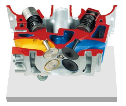 氣缸蓋解剖模型