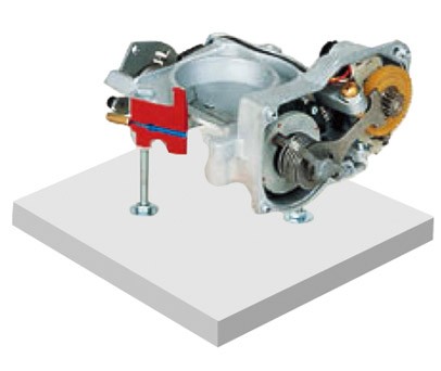節(jié)氣門解剖模型