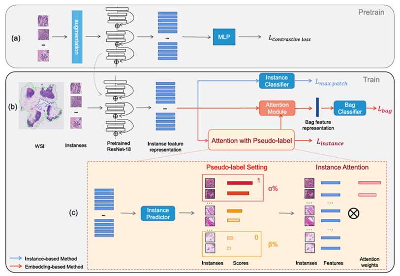 圖像處理領(lǐng)域成果