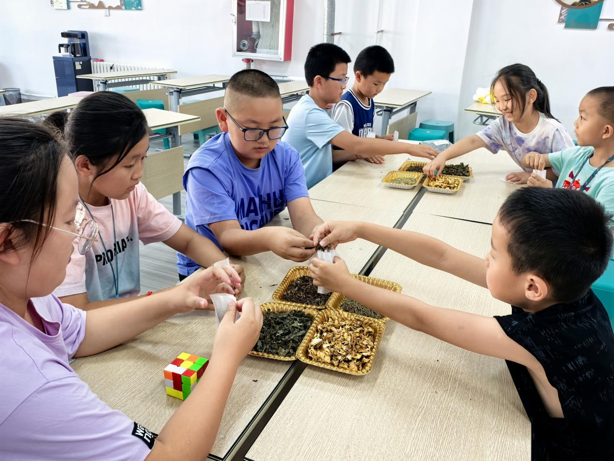 16.png 開展新疆暑期社會(huì)實(shí)踐紀(jì)實(shí)